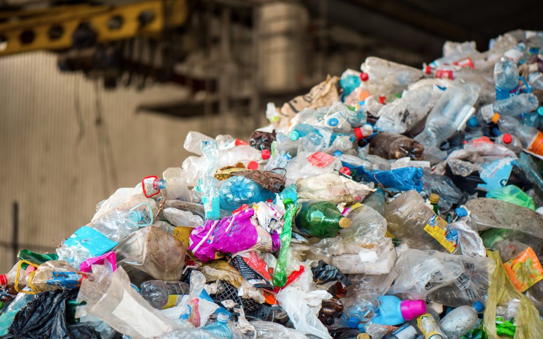 Nuevo reglamento de envases aprobado por el Parlamento Europeo